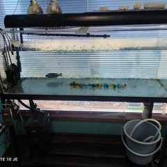 70%off&配達無料！】超格安 水槽セット おまけ多数