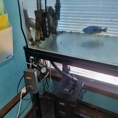 【70%off&配達無料！】超格安　水槽セット　おまけ多数 ★アクリル水槽 1200✕445✕450