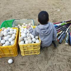 松山市で少年野球に興味がある方募集！の画像