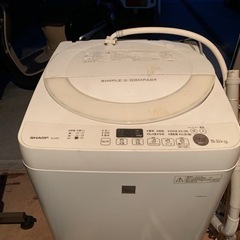 【決定しました】家電 生活家電 洗濯機