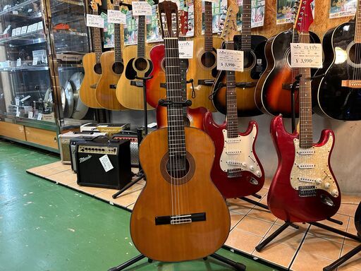 【愛品館八千代店】小平　AST38　クラシックギター