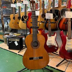 【愛品館八千代店】小平　AST38　クラシックギター