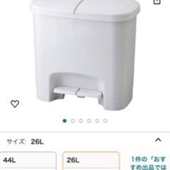  分別 ゴミ箱 分類ペダルペール グレー 20L 日本製 