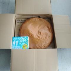 カプセルテント~防災対策などに！~