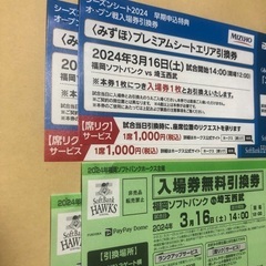 3月16日(土)ソフトバンクホークスvs西武 みずほシート2枚➕...