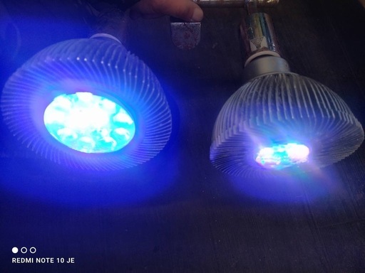 70%off&配達無料！】超格安 水槽セット おまけ多数