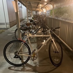 自転車 Giant クロスバイク