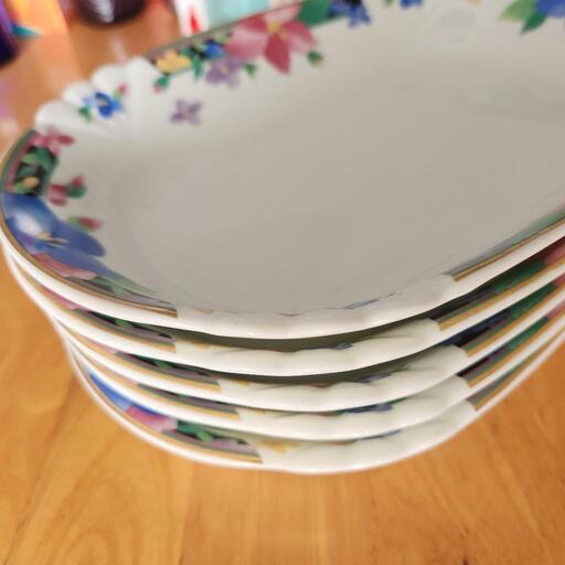 【値下げします】カレー皿５枚セット