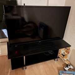 家電 テレビ 液晶テレビ