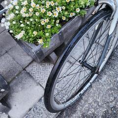 ロードバイク　フレーム　アルミ　2x８変速　サイズ　M  配達可能