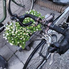 ロードバイク　フレーム　アルミ　2x８変速　サイズ　M  配達可能