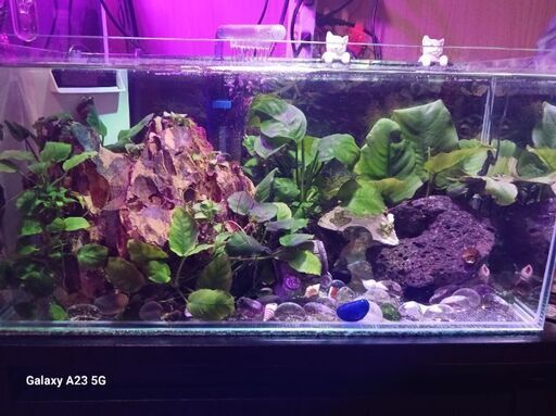 水槽スリム幅40CM