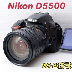 ★Nikon D5500★S数約5300回●豪華なおまけ●Wi-...