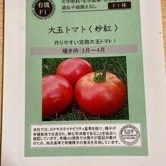 蒔き時3月から　【有機種子】 大玉トマト＜妙紅＞  グリーンフィ...