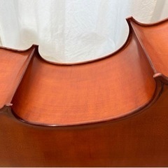 【新品・未使用】グリガ　Gliga    ウッドベース    4/4    5弦