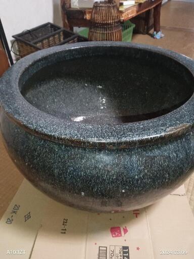 (７）今ブームですネ‼️　メダカ・金魚飼育にetc　大型鉢は如何でしょうか…