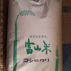 富山県産　コシヒカリ　玄米　30ｋｇ　令和５年産