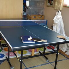 イグニオ(IGNIO) 卓球台 中古 家庭用サイズ　120×240