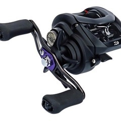 ダイワ(DAIWA) ベイトリール 19 タトゥーラ TW (右...