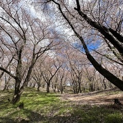 4月14日松本の里山　光城山・長峰山でたこ焼き＆お花見🌸ハイキング　入門向け − 長野県