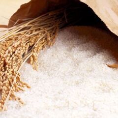 《短期》ヒンヤリ倉庫での米袋の開封作業（43102）