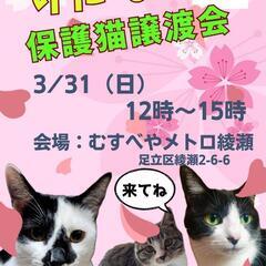 🐱まもっ子・保護猫譲渡会🐱 − 東京都