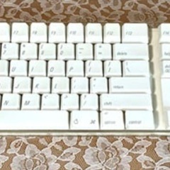 Apple Wireless Keyboard A1016 US配列