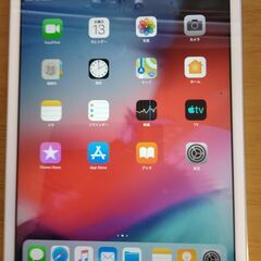 iPad mini2