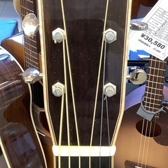 アコースティックギター　ASTURIAS   SOLO   HERRINGBONE