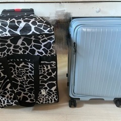 2輪ショッピングケース　バッグ　スーツケース
