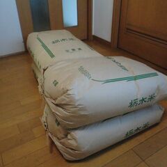 令和4年、令和5年栃木市産コシヒカリ、玄米または、精米（30kg...