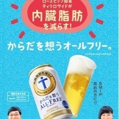 ✴︎機能性表示食品✴︎120本！からだを想うオールフリー