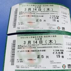 【3月14日大阪場所】5日目大相撲チケットＢ席