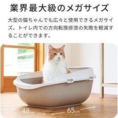 猫 トイレ 大型