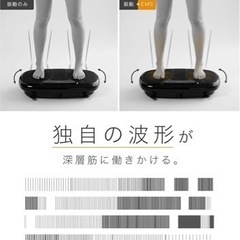 マイトレックス W FIT PRO