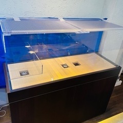 爬虫類用 アクリル水槽