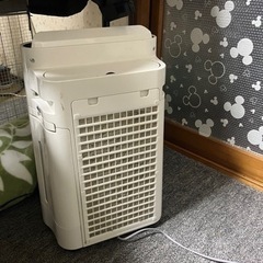 花粉症対策‼️プラズマクラスター🤧