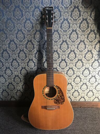 Norman Protege B18 Cedar アコースティック/エレクトリックギター