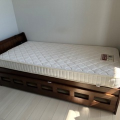 ①ジングルペット✖️収納ベッド 