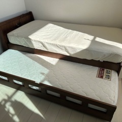 ①ジングルペット✖️収納ベッド 