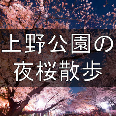 本数約800本、江戸時代からの桜の名所・上野の山で夜桜と交流を楽...