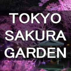 TOKYO SAKURA GARDEN ライトアップされた日本庭...