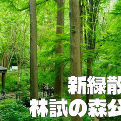 林業試験場の跡地。他の公園では見られない新緑の中で散歩を楽しみます♪