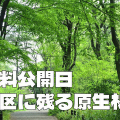 【無料公開日】武蔵野の原生林が茂る港区白金台の森林緑地で新緑の大...