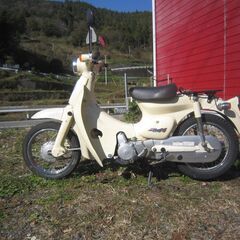 【ネット決済】★☆彡高知発・リトルホンダ・５０ｃｃ・セル付き・４...