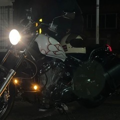 スティード400片肺車 不動