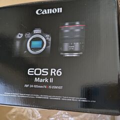 【ネット決済・配送可】 CANON　キヤノン　EOS R6 Ma...