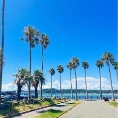 🌺ハワイ料理一緒に食べに行きませんか🙋‍♀️🌴🩷