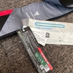 18ポイズンアドレナ 2020モデル 166H