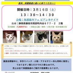 保護猫の譲渡会 （2024年3月16日開催）